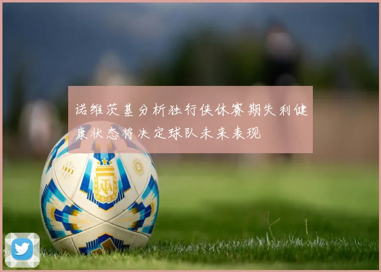 诺维茨基分析独行侠休赛期失利健康状态将决定球队未来表现