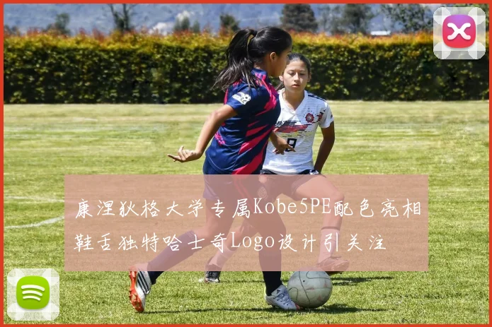 康涅狄格大学专属Kobe5PE配色亮相鞋舌独特哈士奇Logo设计引关注