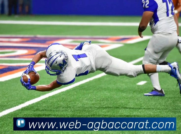 AG百家乐平台生态图