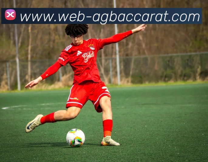 AG百家乐APP 封面图